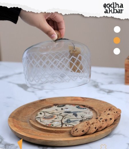  مضيفة مغ غطا زجاج(HODU 19)